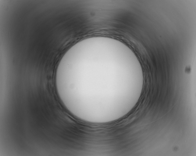 X0000103240558200808281036