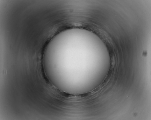 X0000103240559200808281036
