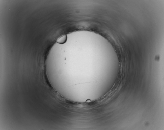 X0000103240561200808281036
