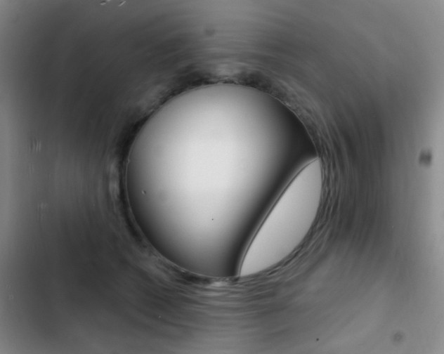 X0000103240562200808281036