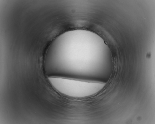 X0000103240563200808281036