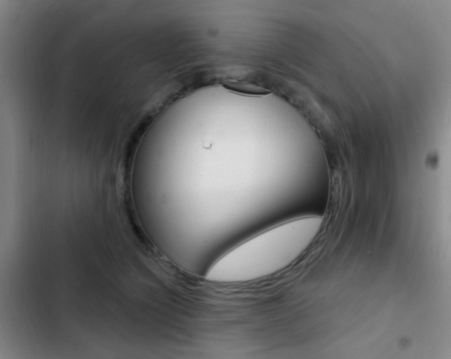 X0000103240564200808281036