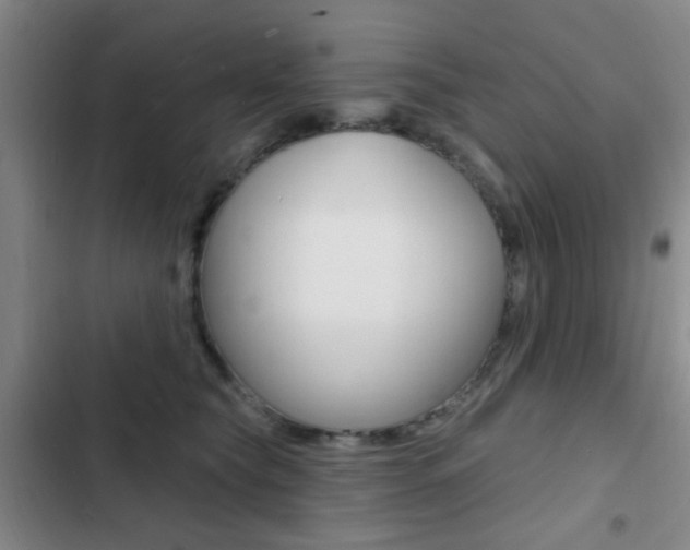 X0000103240565200808281036
