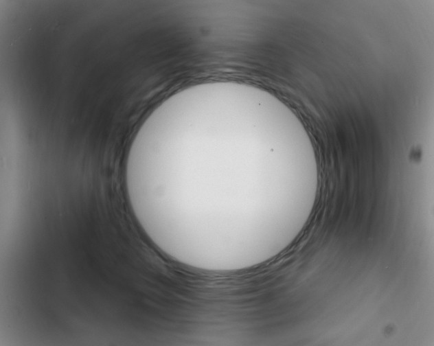 X0000103240566200808281036