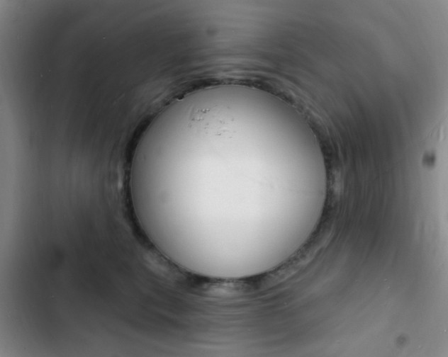 X0000103240567200808281036