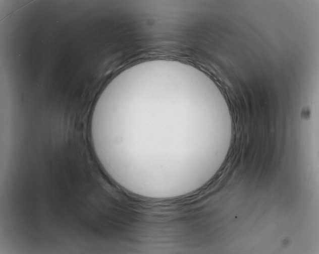 X0000103240568200808281036