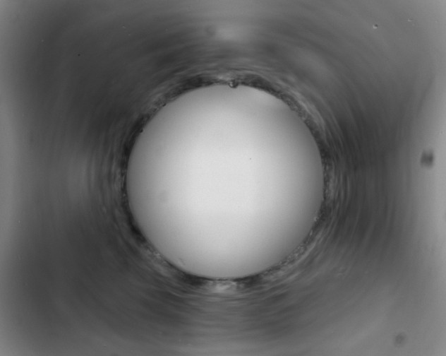 X0000103240569200808281036