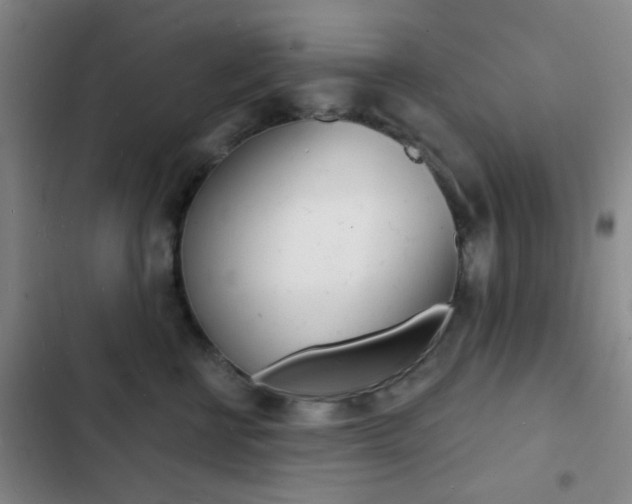 X0000103240570200808281036