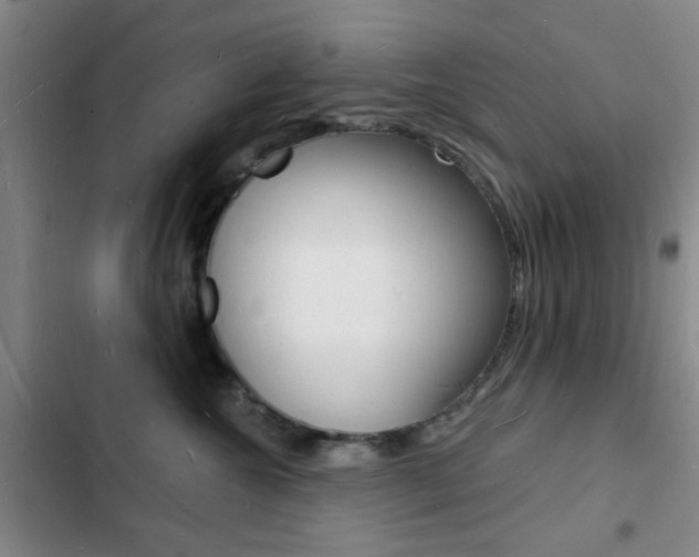 X0000103240572200808281036