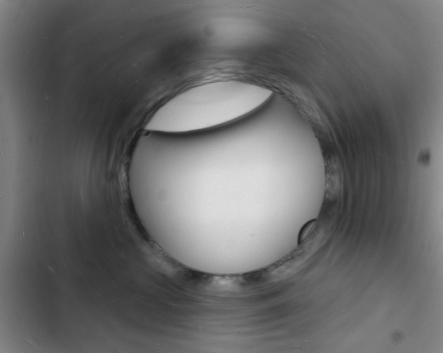 X0000103240573200808281036