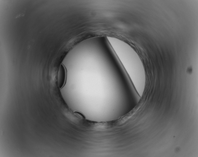 X0000103240574200808281036