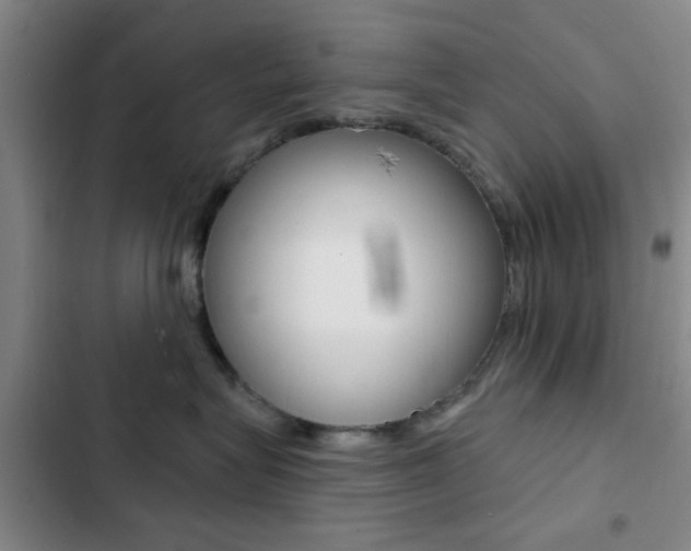X0000103240575200808281036