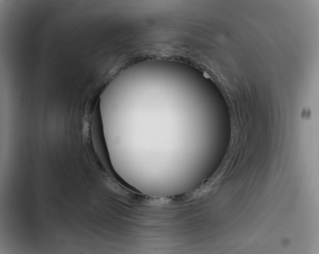 X0000103240576200808281036
