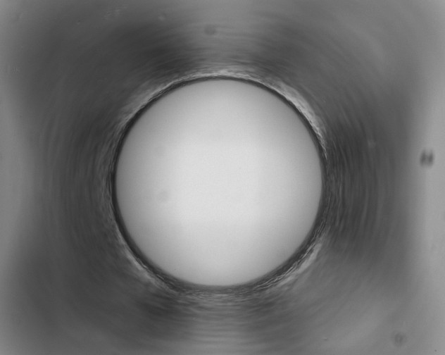 X0000103240577200808281035