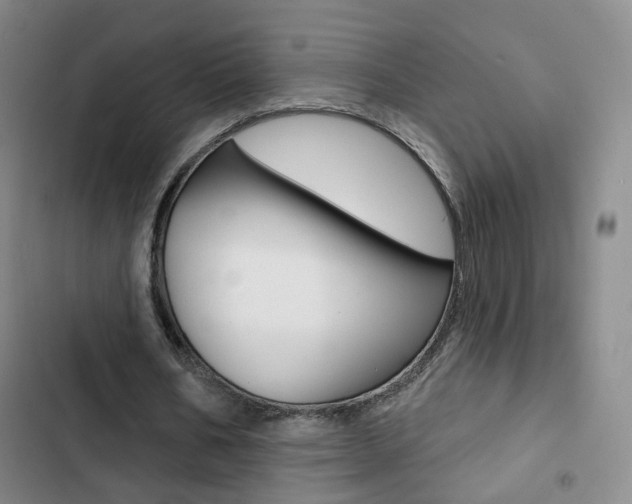 X0000103240578200808281035