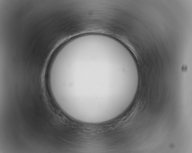 X0000103240579200808281035
