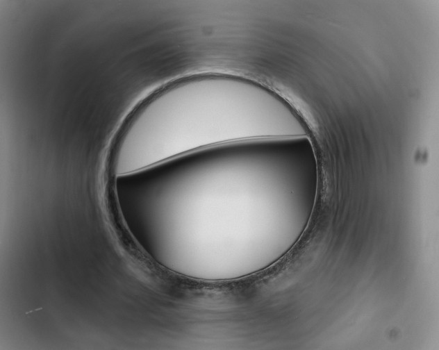 X0000103240580200808281035
