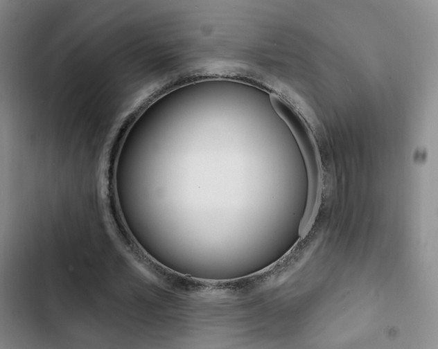 X0000103240581200808281035