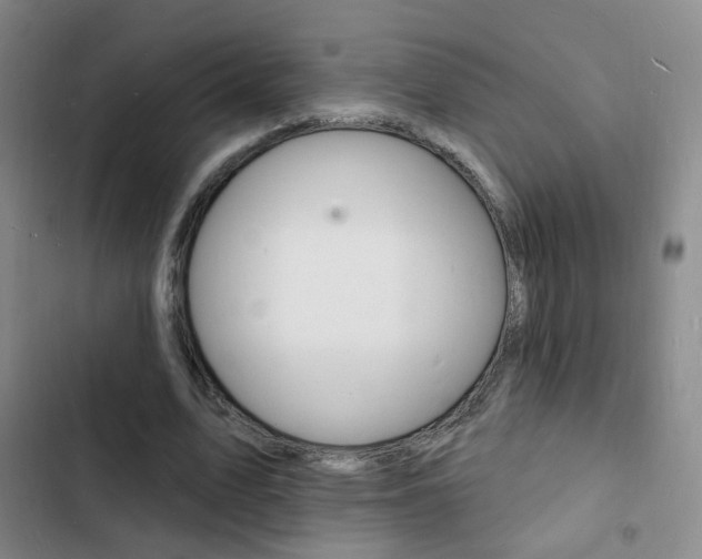 X0000103240583200808281035