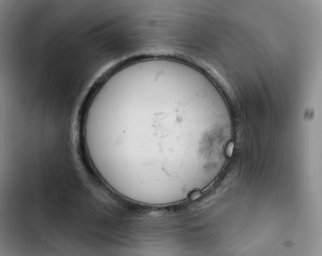 X0000103240584200808281035