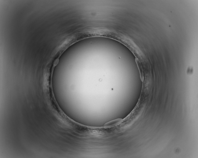X0000103240585200808281035