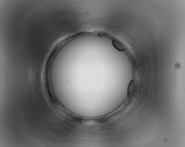X0000103240587200808281035