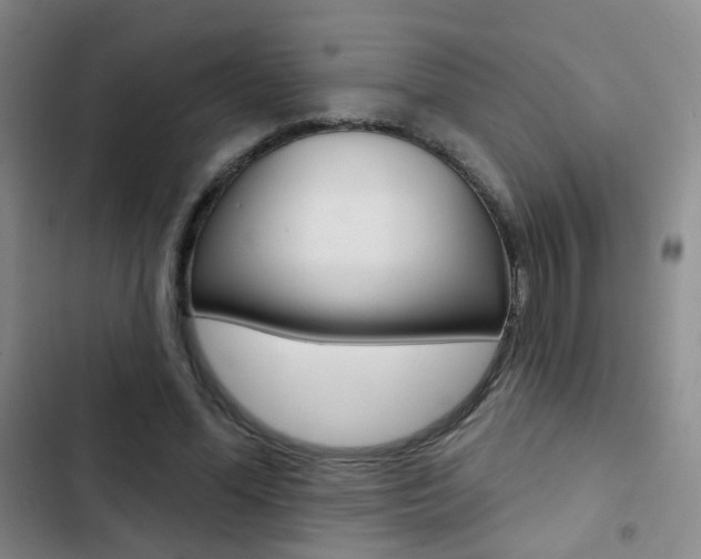 X0000103240588200808281035