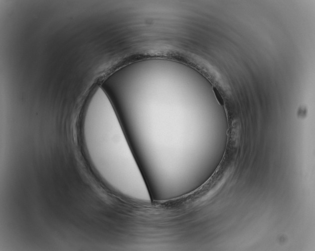 X0000103240589200808281035