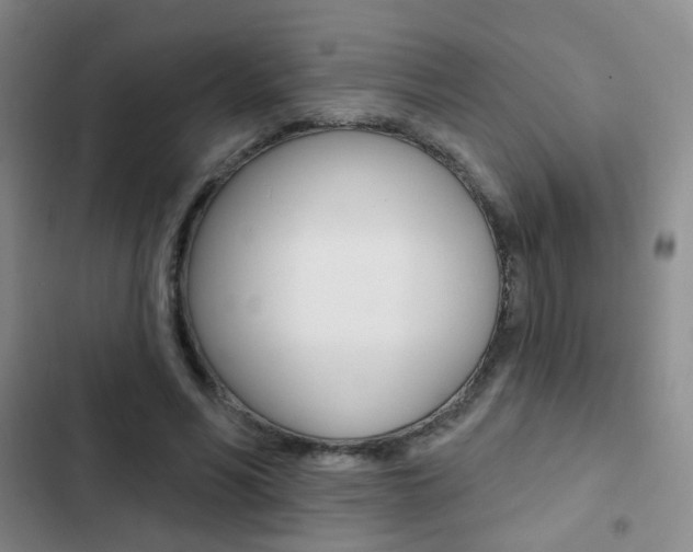 X0000103240590200808281035