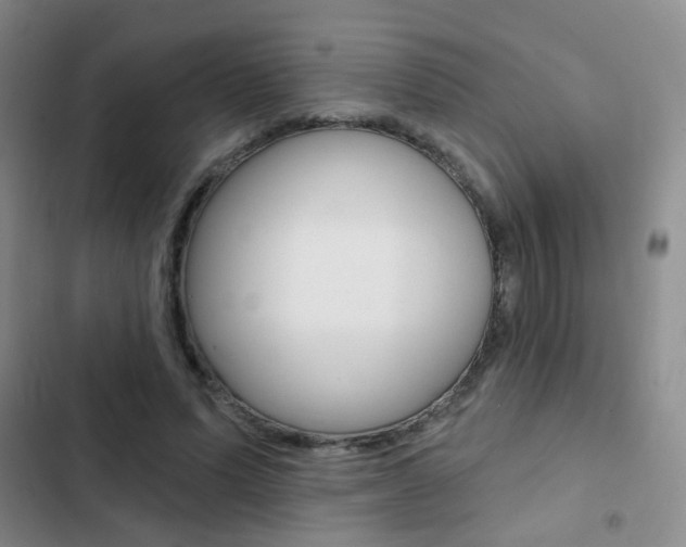 X0000103240591200808281035