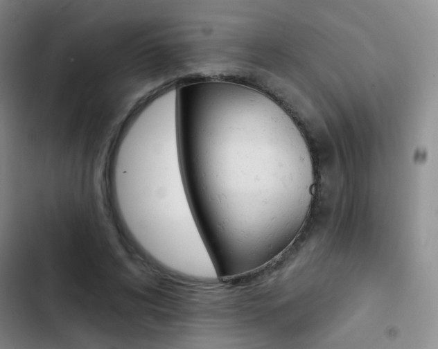 X0000103240592200808281035