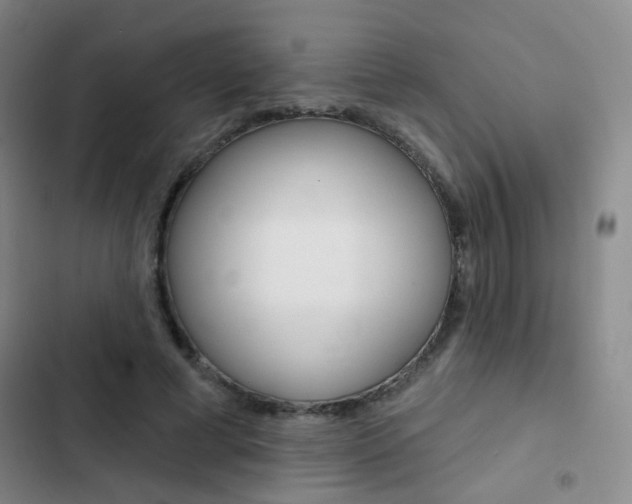 X0000103240593200808281035