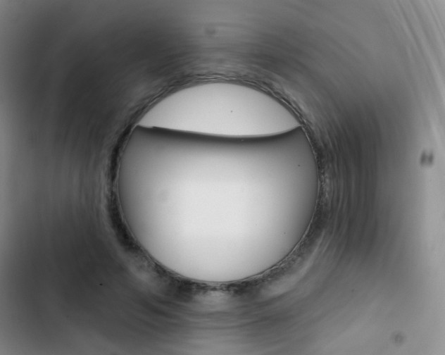 X0000103240594200808281035