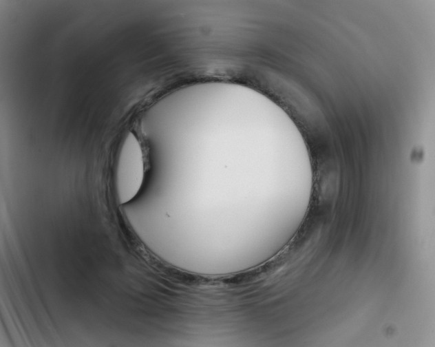 X0000103240595200808281035