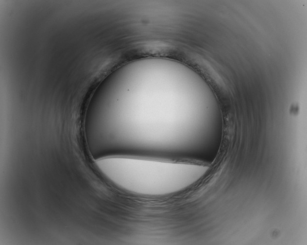 X0000103240597200808281035