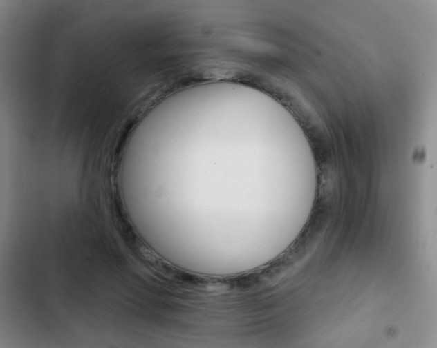 X0000103240598200808281035