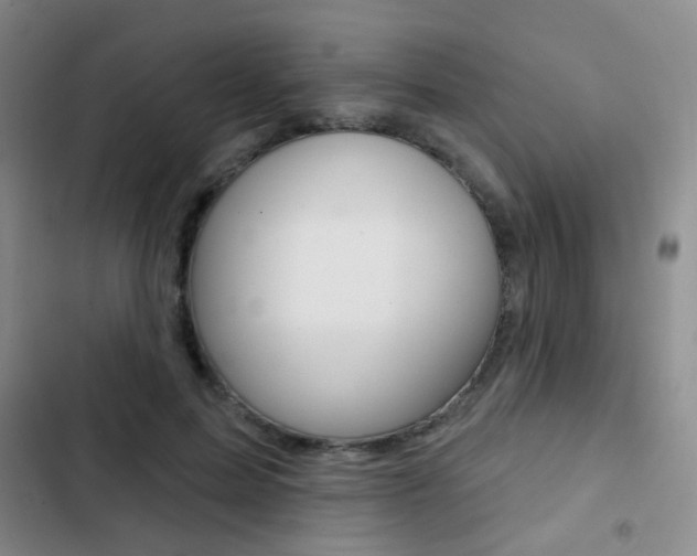 X0000103240599200808281035