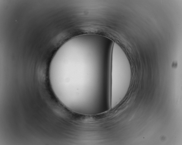 X0000103240600200808281035