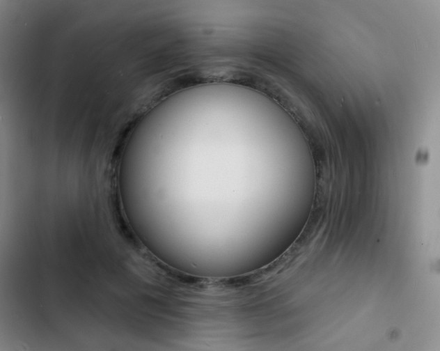 X0000103240601200808281035