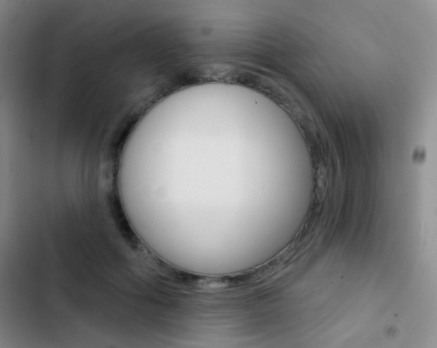 X0000103240602200808281035