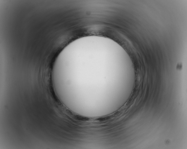 X0000103240603200808281035