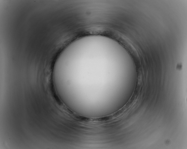 X0000103240604200808281035