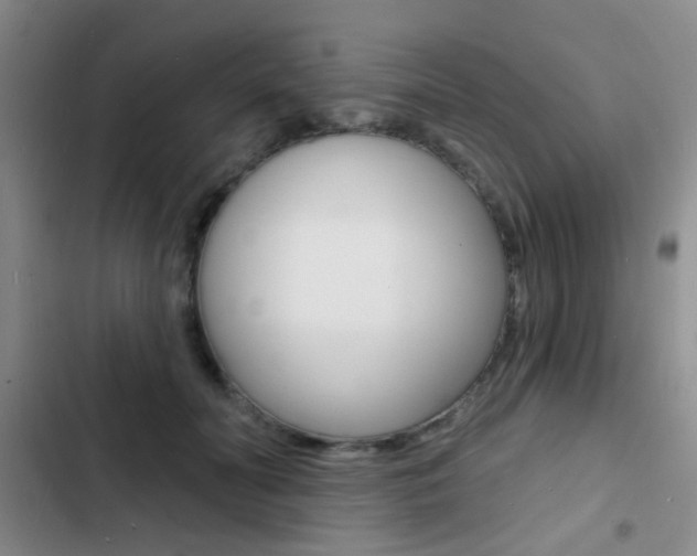 X0000103240606200808281035