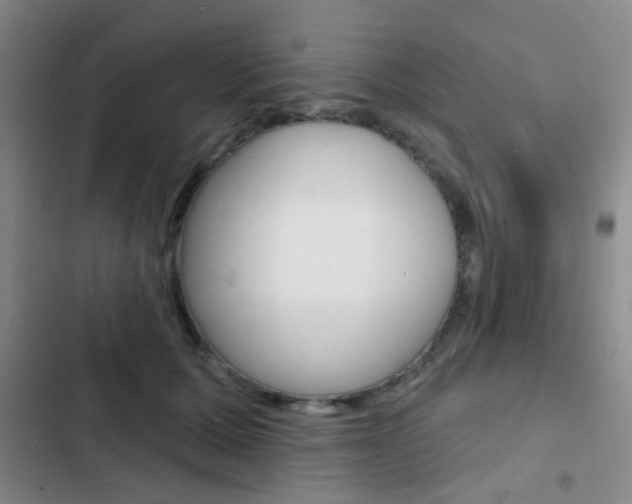 X0000103240607200808281035