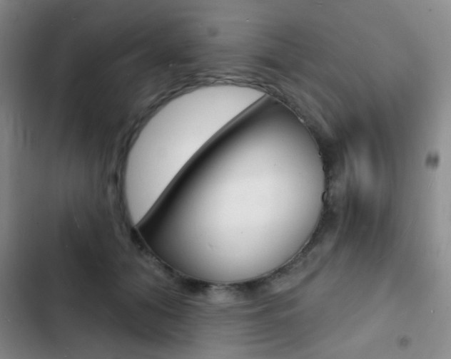 X0000103240608200808281035