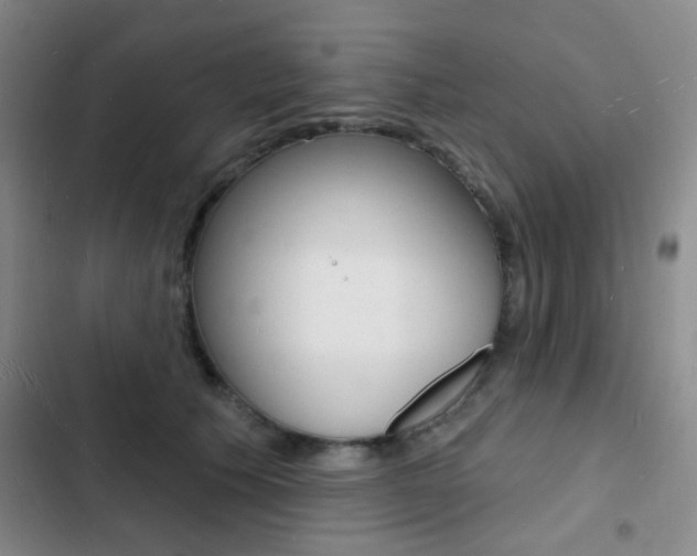 X0000103240609200808281035