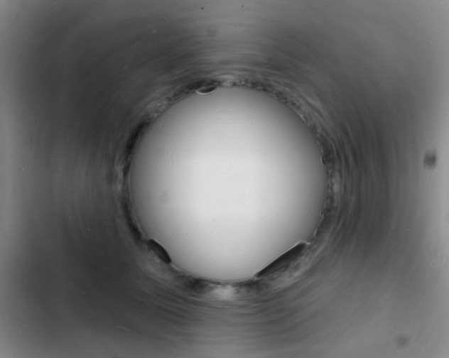 X0000103240611200808281035