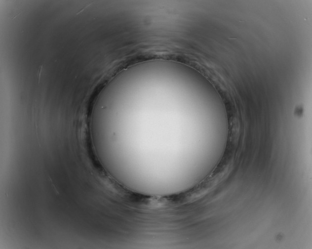 X0000103240612200808281035