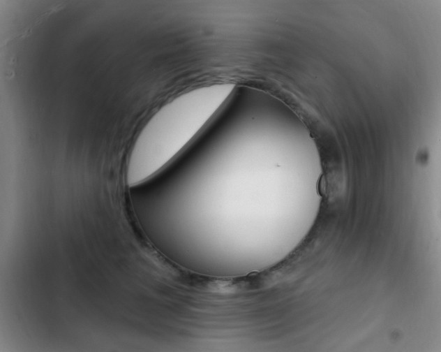 X0000103240613200808281035
