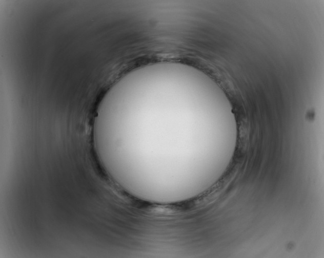 X0000103240614200808281035